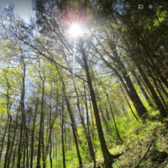 God’s not finished with me yet…